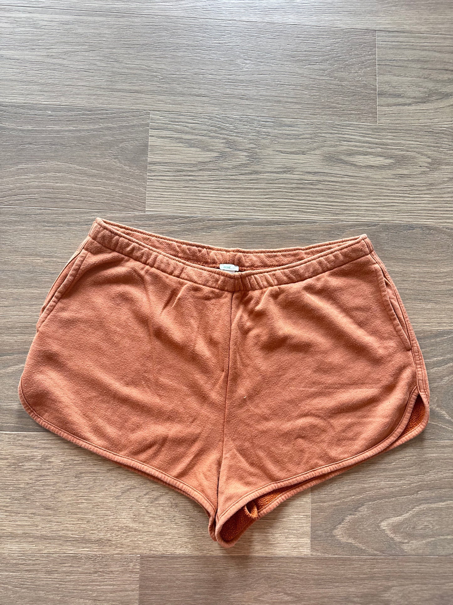 Aerie shorts