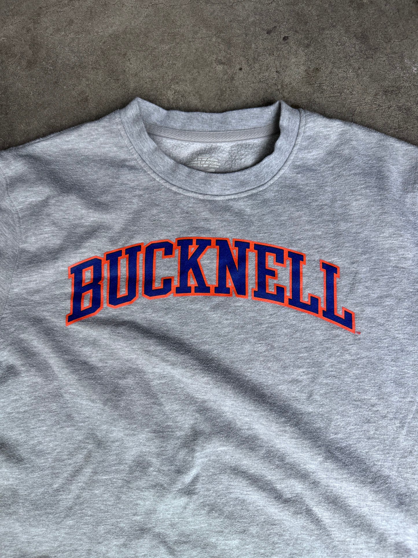 Bucknell Crew