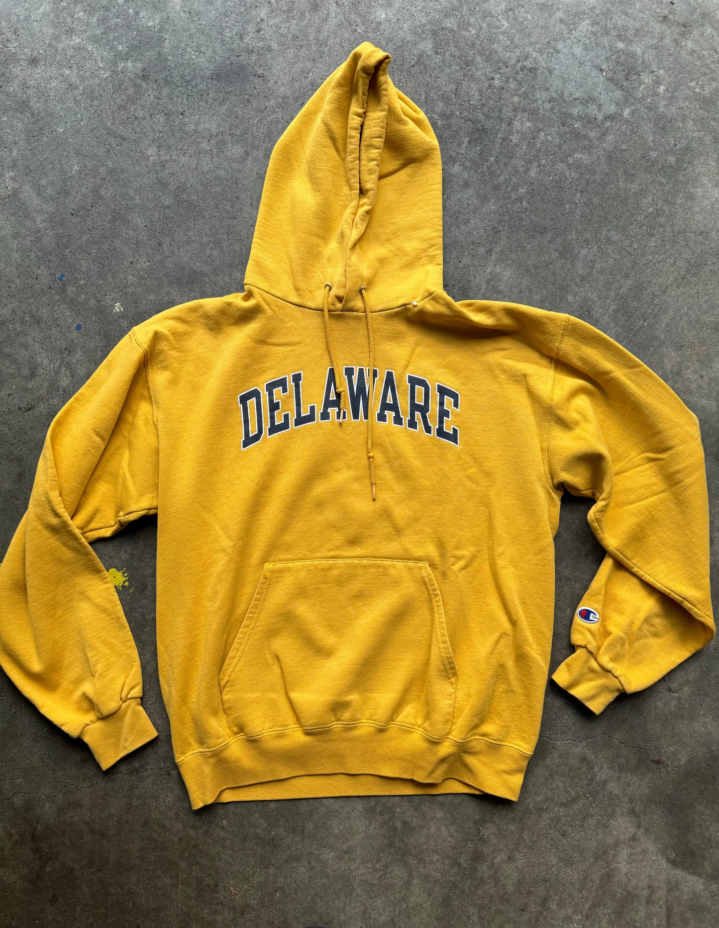 Delaware Hoodie