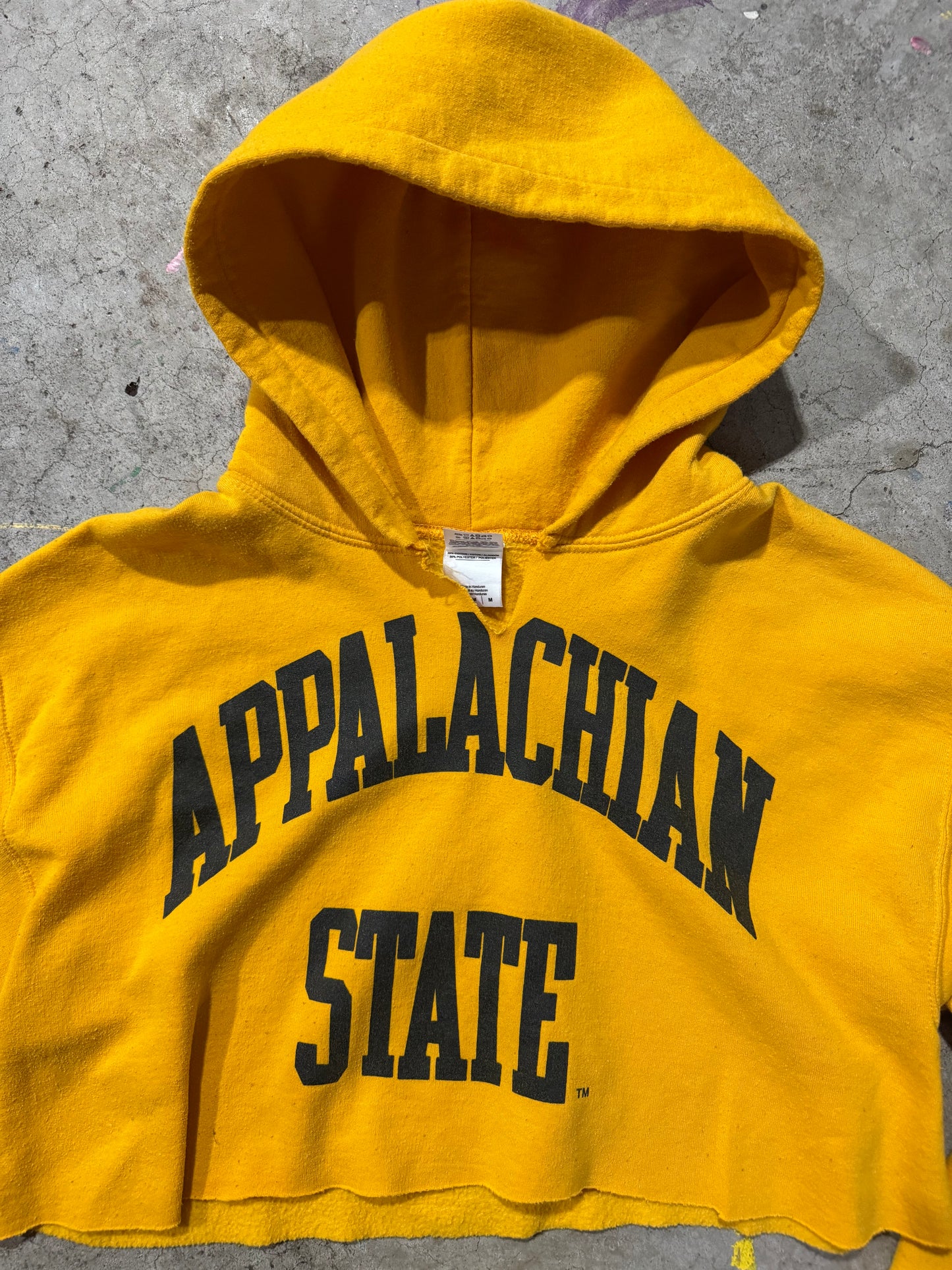 Appalachian State cropped hoodie