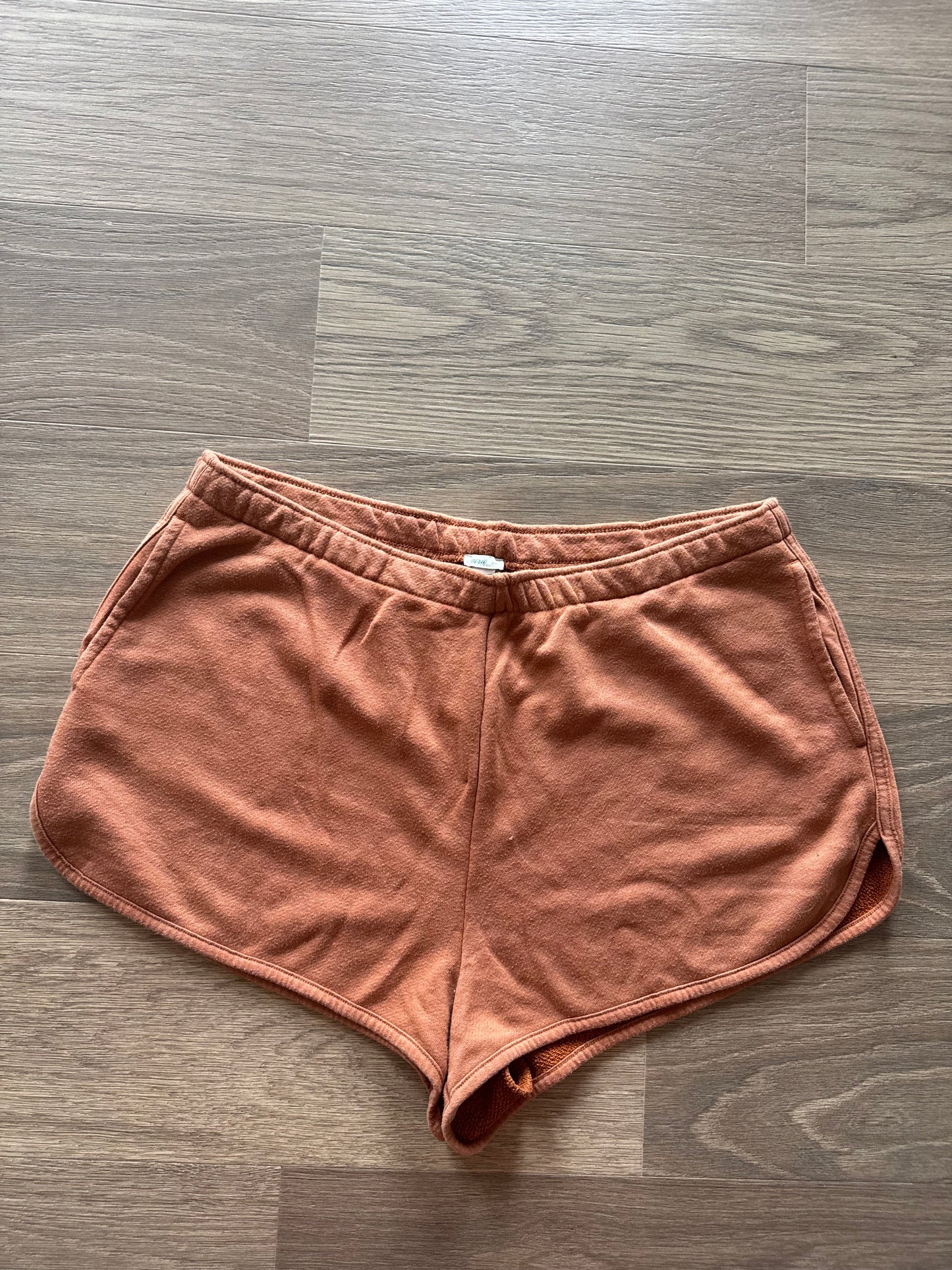 Aerie shorts