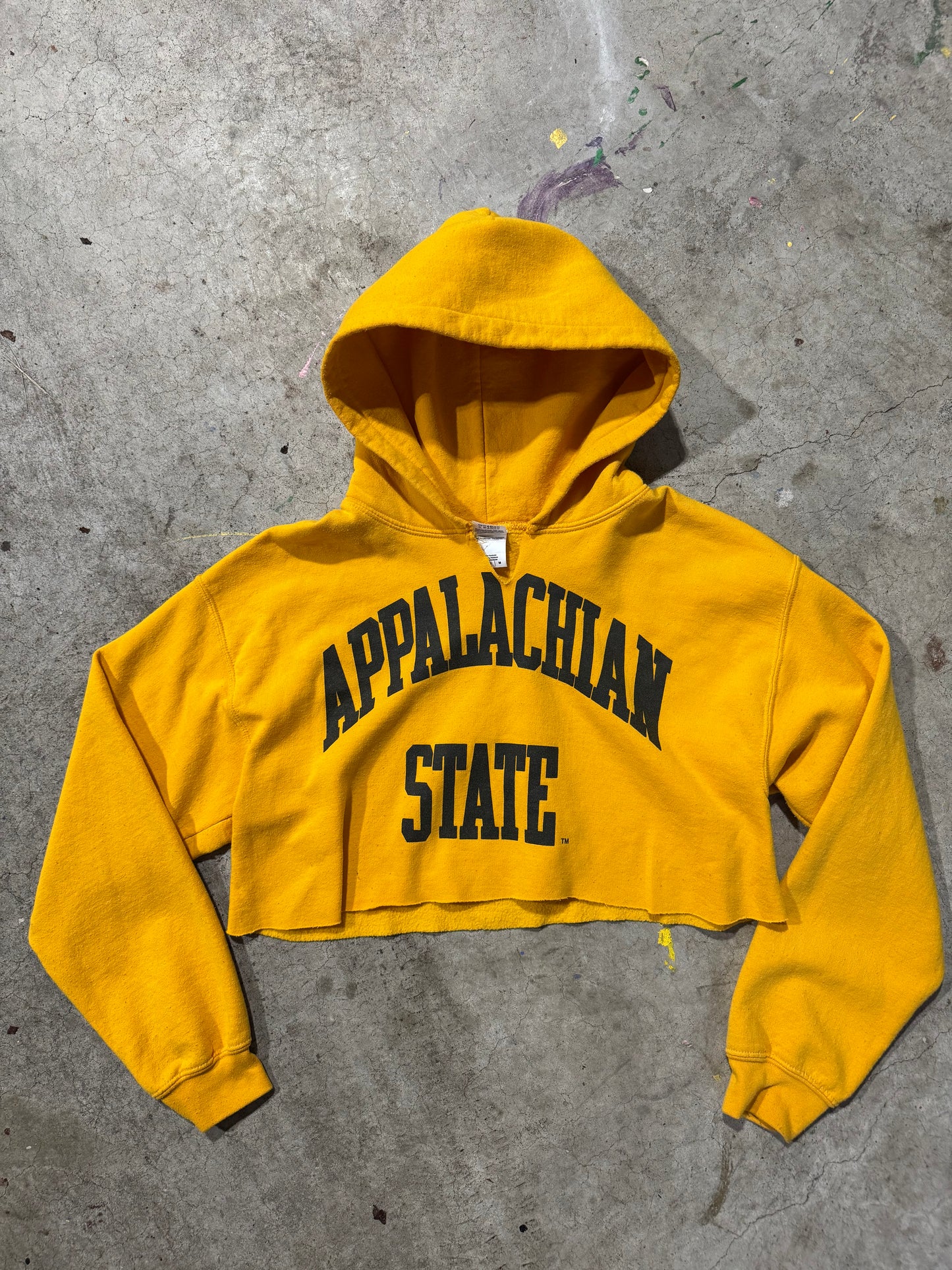 Appalachian State cropped hoodie