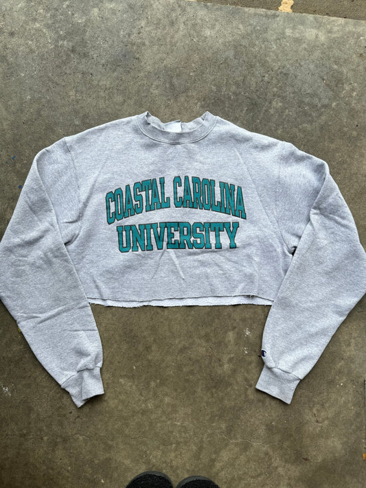 Cropped Coastal Carolina