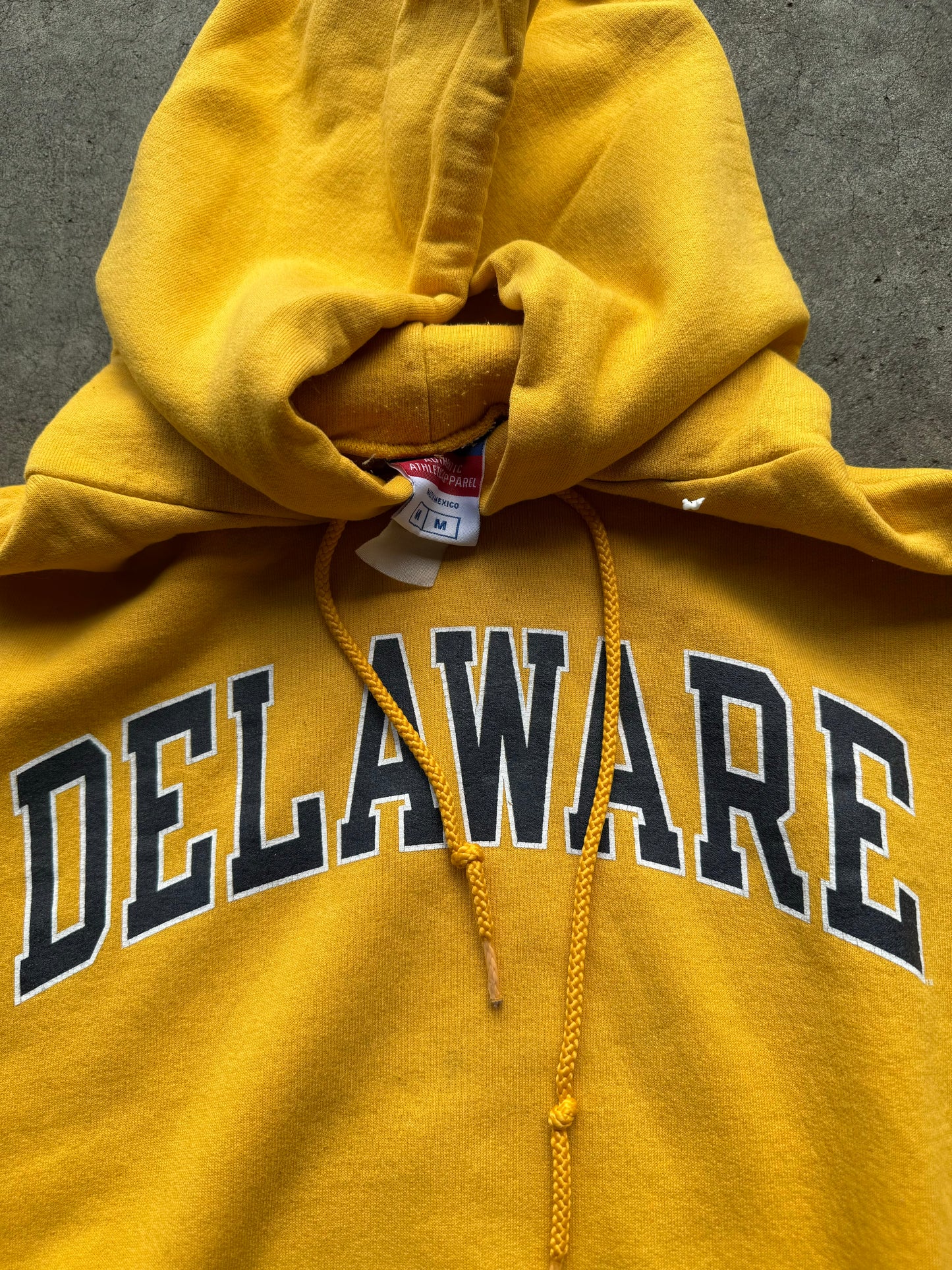 Delaware Hoodie