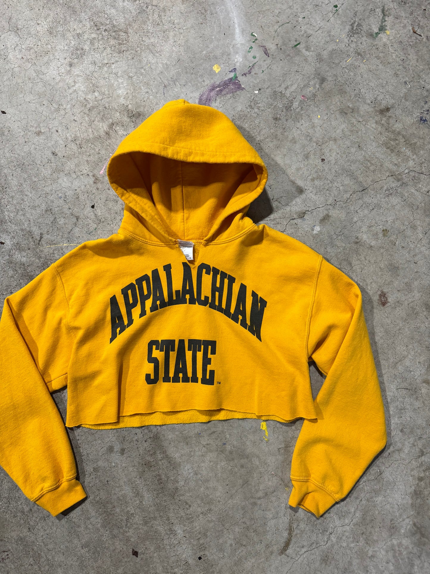 Appalachian State cropped hoodie