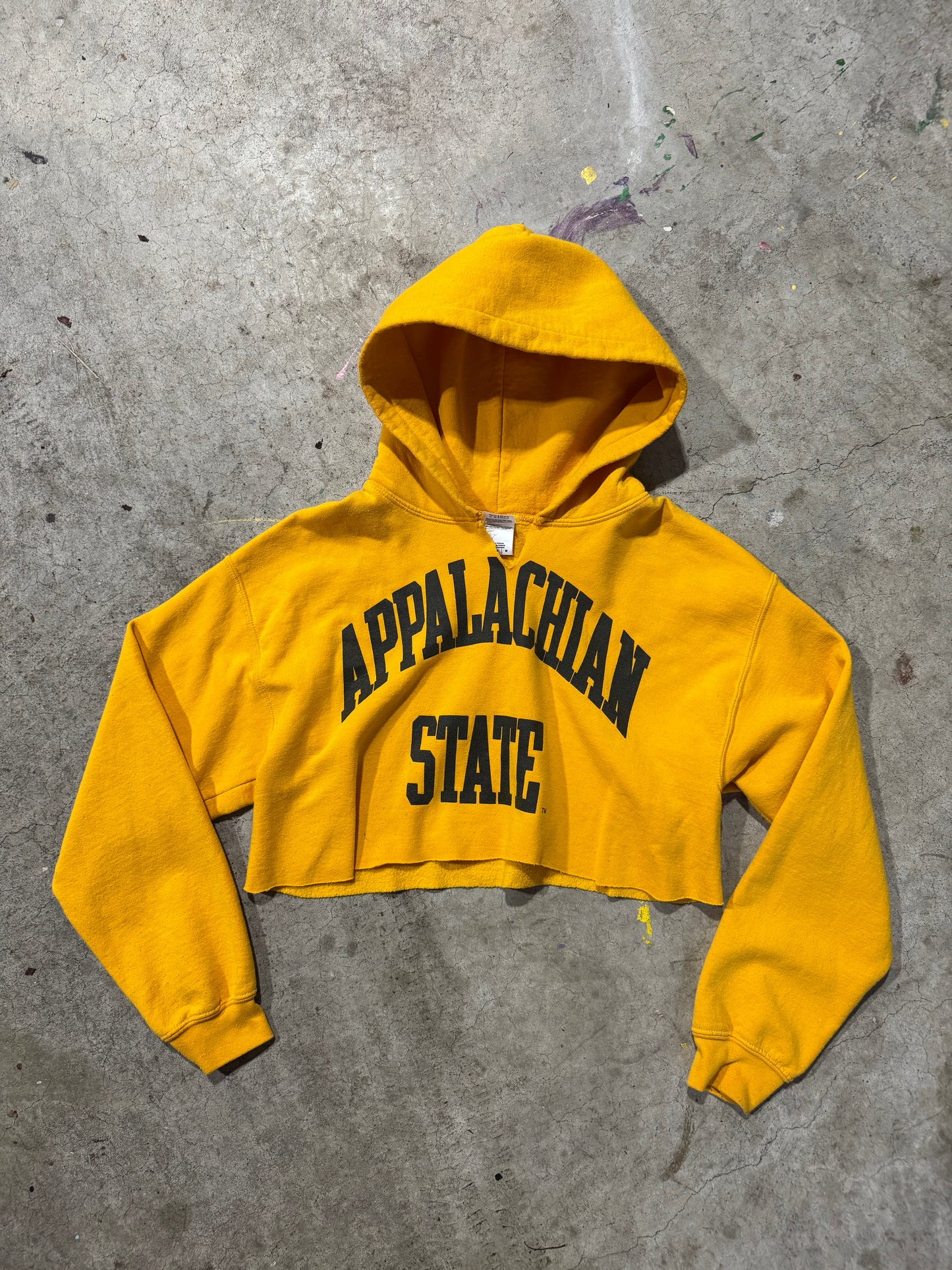 Appalachian State cropped hoodie