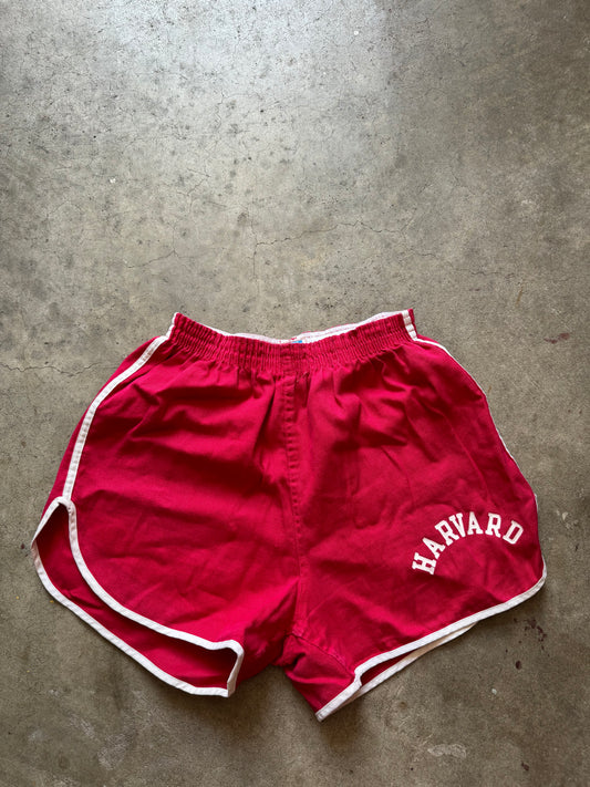 Vtg Champion Shorts