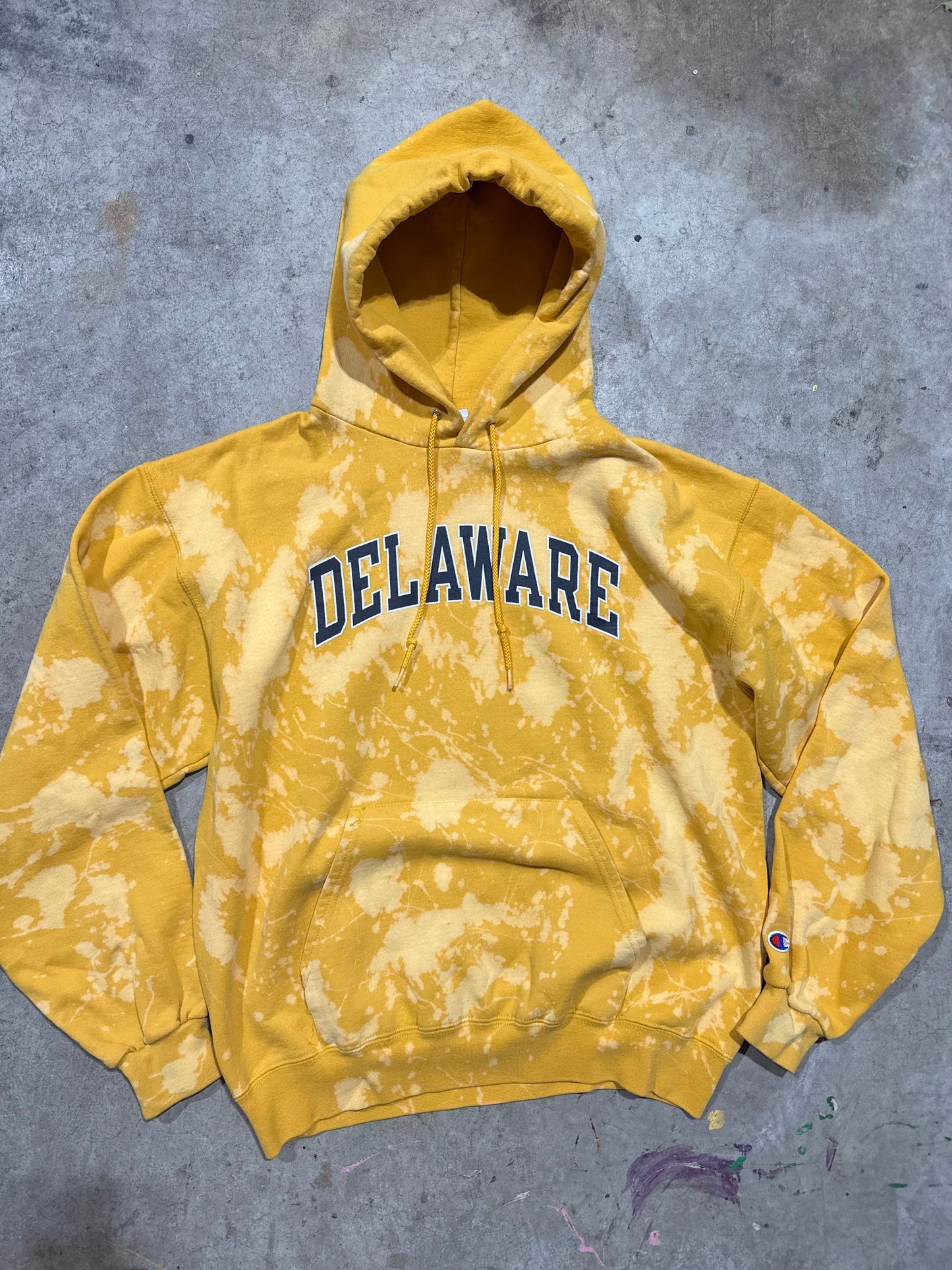 Delaware Hoodie