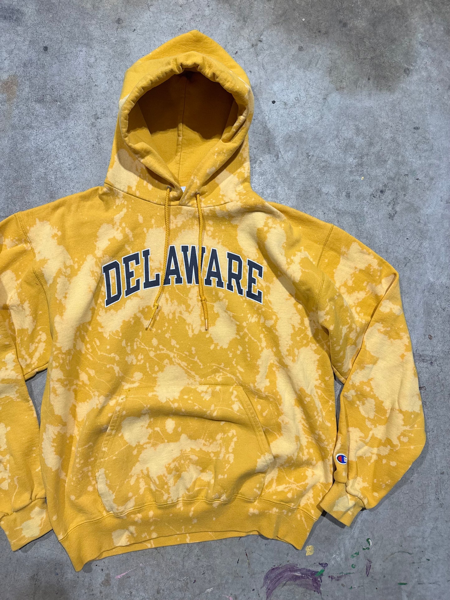 Delaware Hoodie