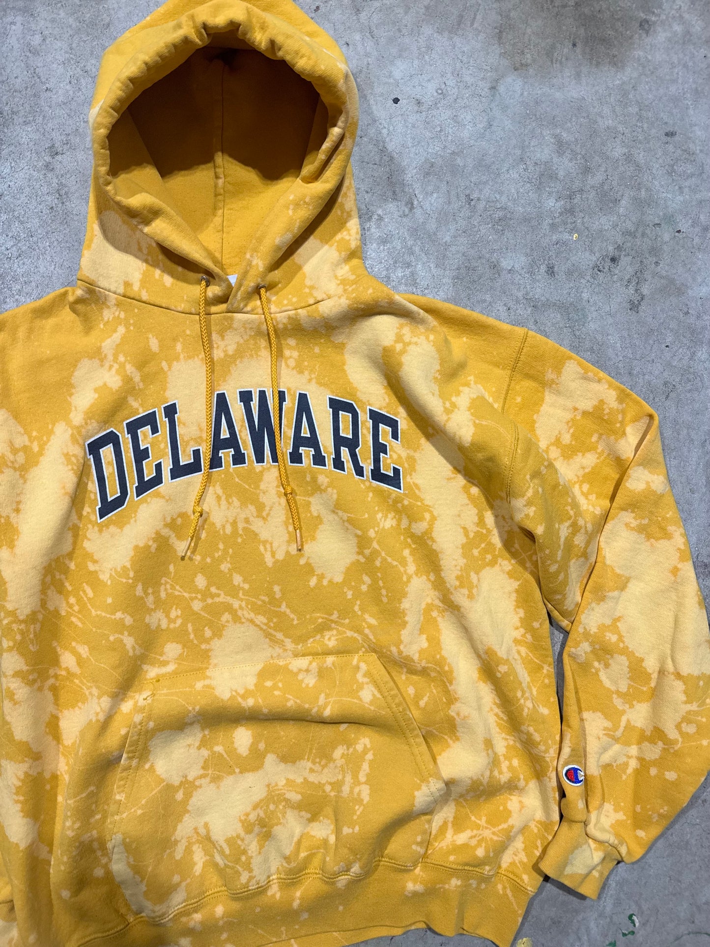 Delaware Hoodie