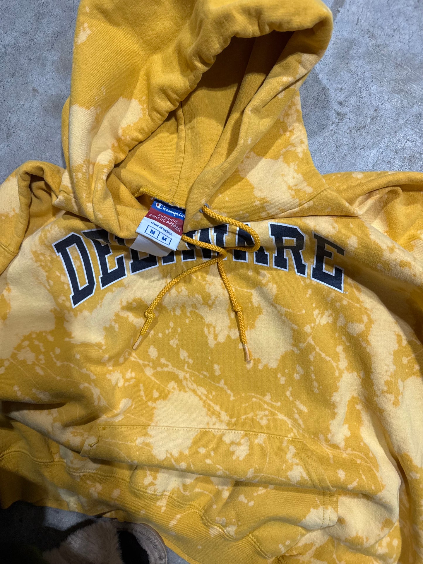 Delaware Hoodie